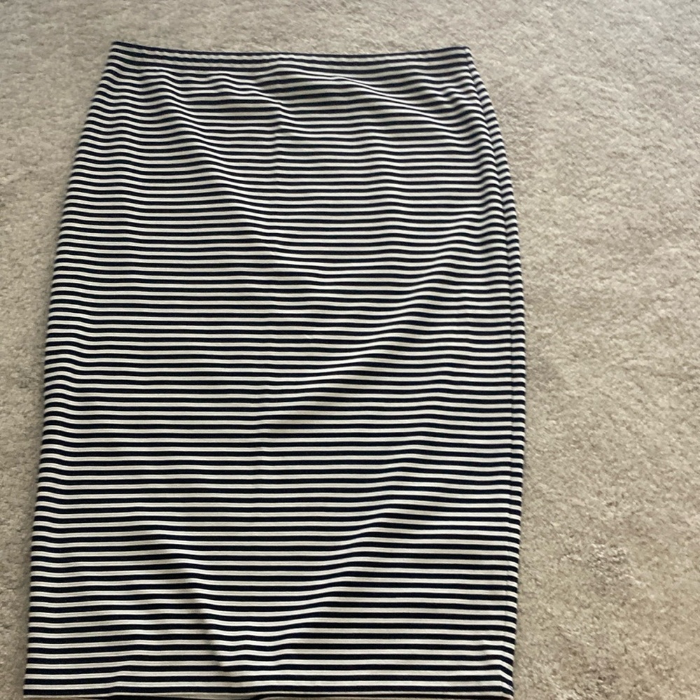 Max studio skirt